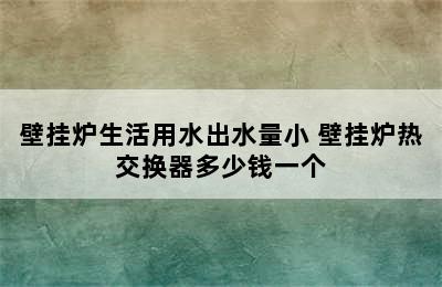 壁挂炉生活用水出水量小 壁挂炉热交换器多少钱一个